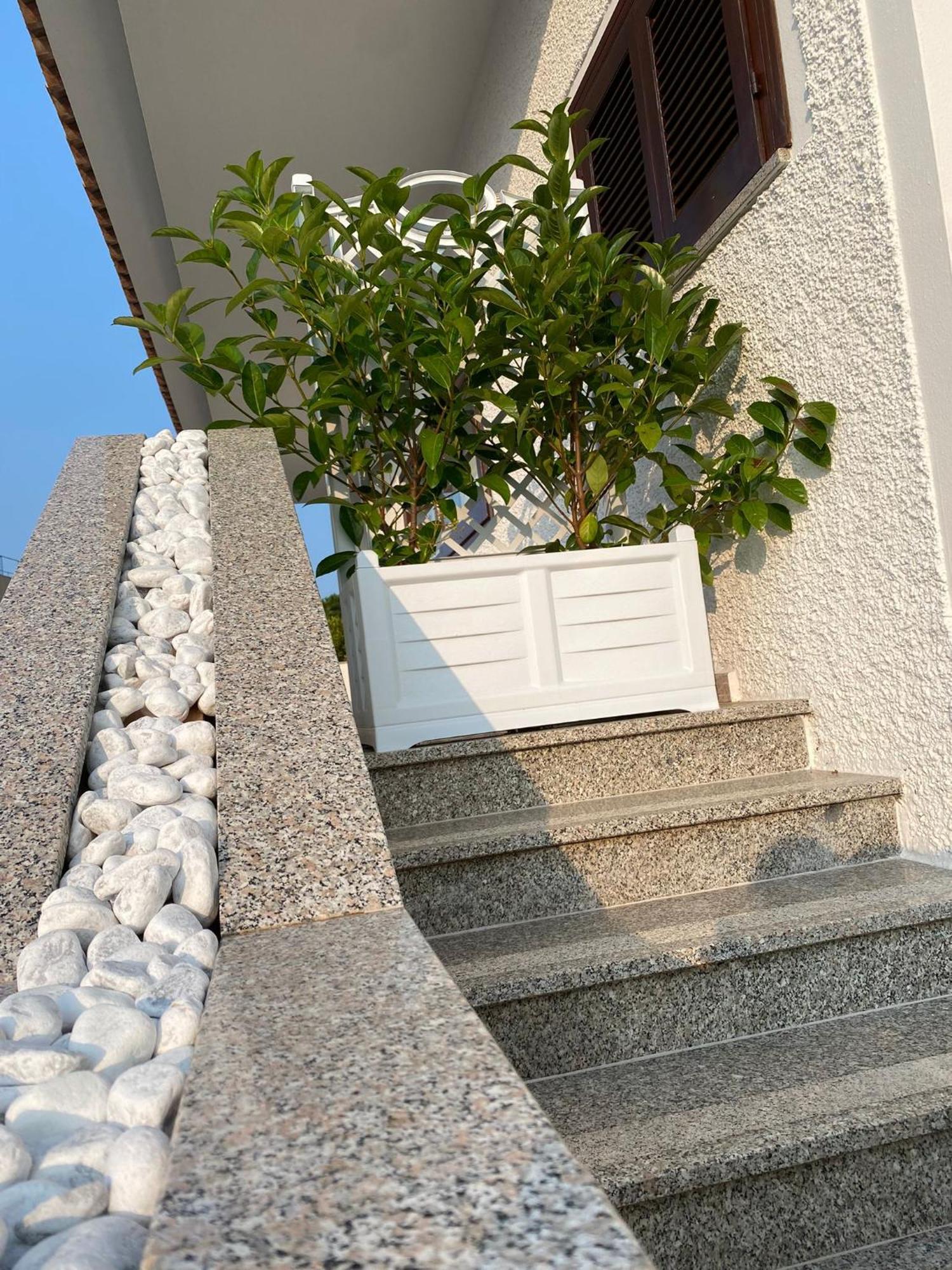 Villa Da Rosa Όλμπια Εξωτερικό φωτογραφία