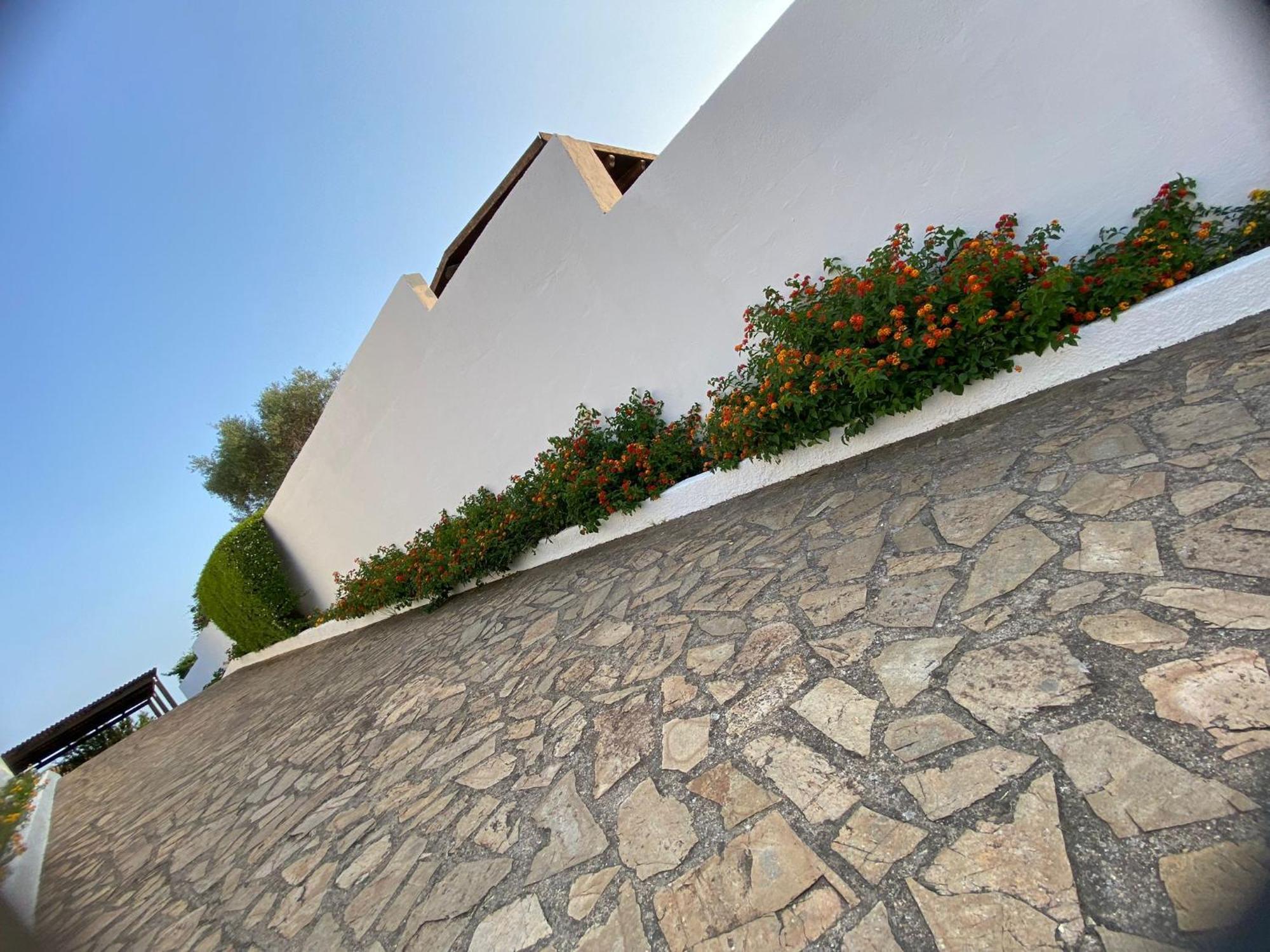 Villa Da Rosa Όλμπια Εξωτερικό φωτογραφία